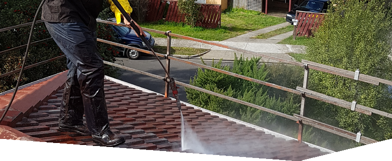 PRESSURE CLEANING / DE-MOSSING